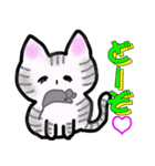 毎日使える猫スタンプだよ（個別スタンプ：31）