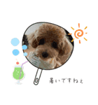 ピノさんwith7（個別スタンプ：1）