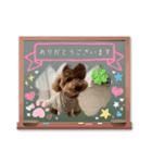 ピノさんwith7（個別スタンプ：3）