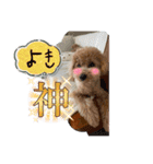 ピノさんwith7（個別スタンプ：8）