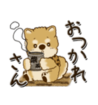 柴犬・茶色い犬『関西弁』いつもの言葉（個別スタンプ：9）