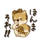 柴犬・茶色い犬『関西弁』いつもの言葉（個別スタンプ：22）