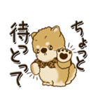 柴犬・茶色い犬『関西弁』いつもの言葉（個別スタンプ：33）