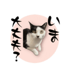 茶とみ日常使い10（個別スタンプ：4）