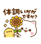 夏に使える♡ねこねこにゃんこ（個別スタンプ：2）