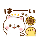 夏に使える♡ねこねこにゃんこ（個別スタンプ：10）