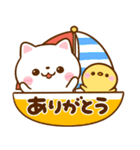 夏に使える♡ねこねこにゃんこ（個別スタンプ：17）