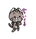 ねこ日和 キジトラ編2（個別スタンプ：7）