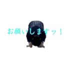 新・荒木貴志のスタンプ終）。（個別スタンプ：13）
