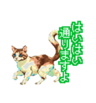 遊び心いっぱいのゆるドット絵猫（個別スタンプ：3）