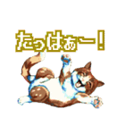 遊び心いっぱいのゆるドット絵猫（個別スタンプ：7）