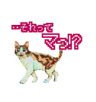 遊び心いっぱいのゆるドット絵猫（個別スタンプ：23）