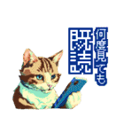 遊び心いっぱいのゆるドット絵猫（個別スタンプ：31）