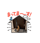 動くだいずヤン（個別スタンプ：6）