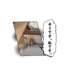 動くだいずヤン（個別スタンプ：7）