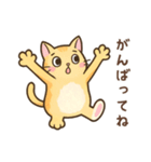 黄色い猫の日常会話（個別スタンプ：7）