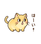 黄色い猫の日常会話（個別スタンプ：15）