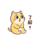 黄色い猫の日常会話（個別スタンプ：21）