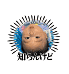 ぴぴンプ（個別スタンプ：5）