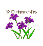日常会話で使えるお花のスタンプ（個別スタンプ：2）
