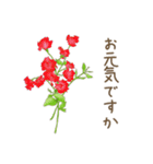 日常会話で使えるお花のスタンプ（個別スタンプ：4）