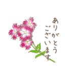 日常会話で使えるお花のスタンプ（個別スタンプ：6）