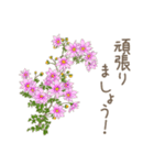 日常会話で使えるお花のスタンプ（個別スタンプ：17）
