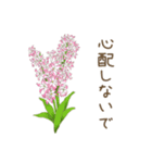 日常会話で使えるお花のスタンプ（個別スタンプ：18）