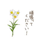 日常会話で使えるお花のスタンプ（個別スタンプ：19）