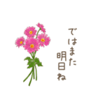 日常会話で使えるお花のスタンプ（個別スタンプ：26）