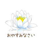 日常会話で使えるお花のスタンプ（個別スタンプ：27）