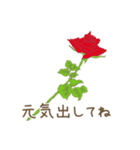 日常会話で使えるお花のスタンプ（個別スタンプ：32）