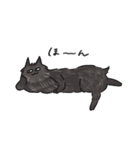 ねこメンバー、ピノのスタンプ（個別スタンプ：4）