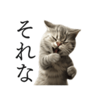 全力猫ミーム(よく使う言葉)（個別スタンプ：5）