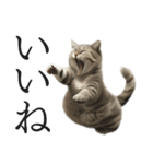 全力猫ミーム(よく使う言葉)（個別スタンプ：9）