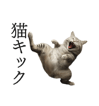 全力猫ミーム(よく使う言葉)（個別スタンプ：21）