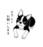 Doggy Daily3（個別スタンプ：11）