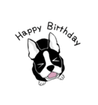 Doggy Daily3（個別スタンプ：17）