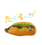 てしまのいぬのすたんぷ（個別スタンプ：8）