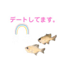 魚、だーいすき（個別スタンプ：5）