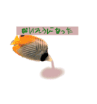 魚、だーいすき（個別スタンプ：11）