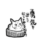 ちょっとうるさい白黒の猫（個別スタンプ：24）