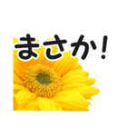 *花*ひまわり（個別スタンプ：8）