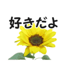 *花*ひまわり（個別スタンプ：10）