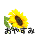 *花*ひまわり（個別スタンプ：16）