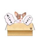 5girl♡（個別スタンプ：34）