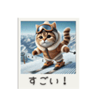 スポーツ大好き猫ちゃん（個別スタンプ：14）