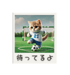 スポーツ大好き猫ちゃん（個別スタンプ：16）
