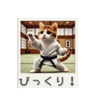 スポーツ大好き猫ちゃん（個別スタンプ：23）