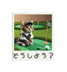 スポーツ大好き猫ちゃん（個別スタンプ：24）